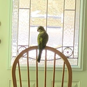 Meet your Posher, Joshua